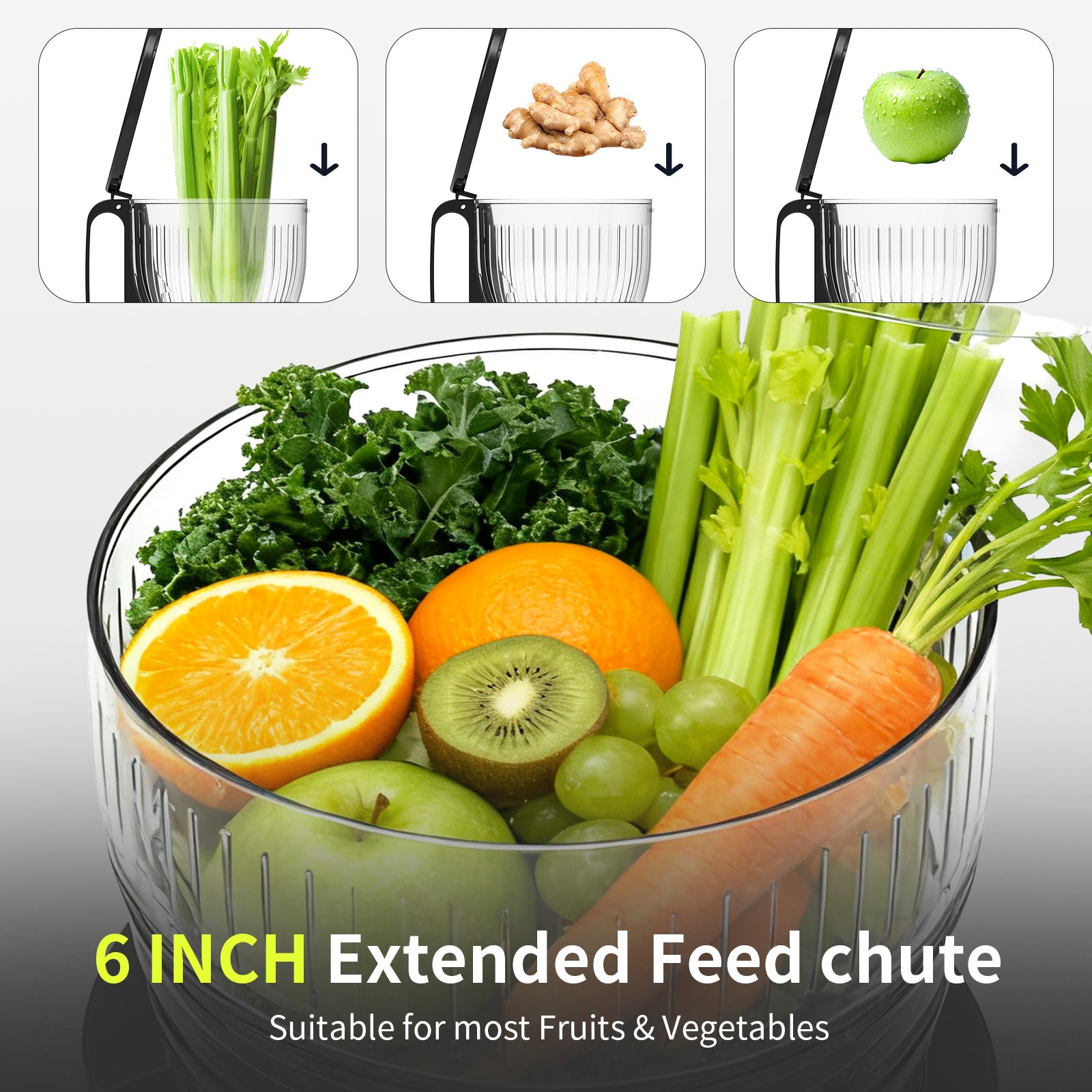Genius Chef 6 Inch Feed Chute Cold Press Juicer for Whole Vegetables & Fruits