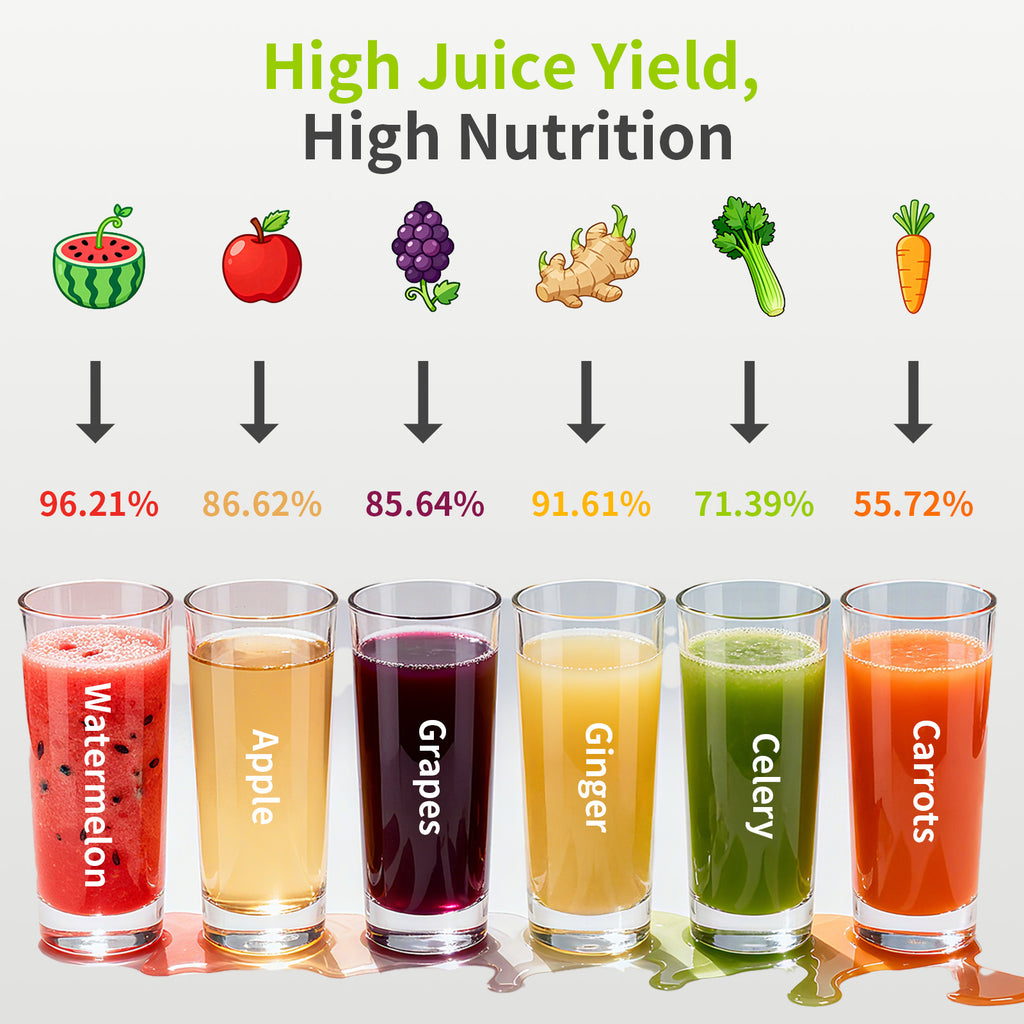 Genius Chef 6 Inch Feed Chute Cold Press Juicer for Whole Vegetables & Fruits